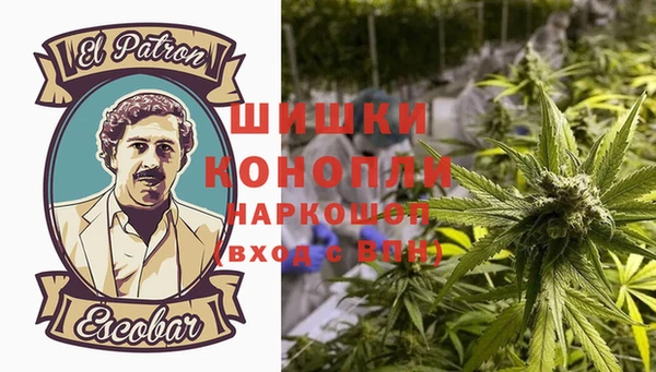 гидропоника Магас
