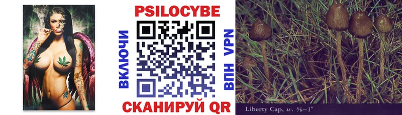 где купить наркоту  Юрюзань  Псилоцибиновые грибы Magic Shrooms 